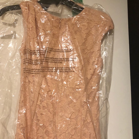 Blush Betsy & Adam Long Cap Sleeve Lace Gown 4 - Picture 2 of 4